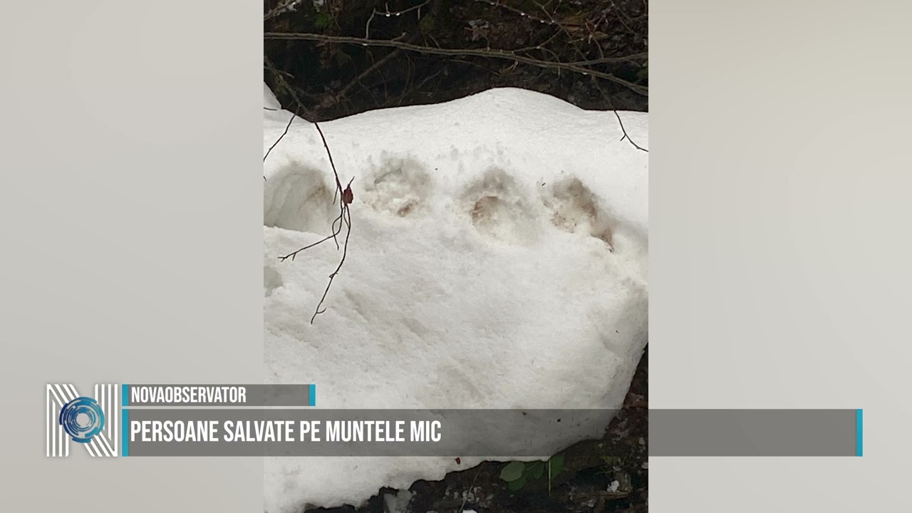 PERSOANE SALVATE PE MUNTELE MIC