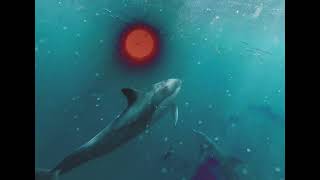 Shybits – “Summer Tide”