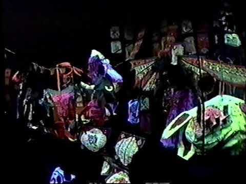 Caroliner - Living Proof of the 1800s (AUGEN VHS)