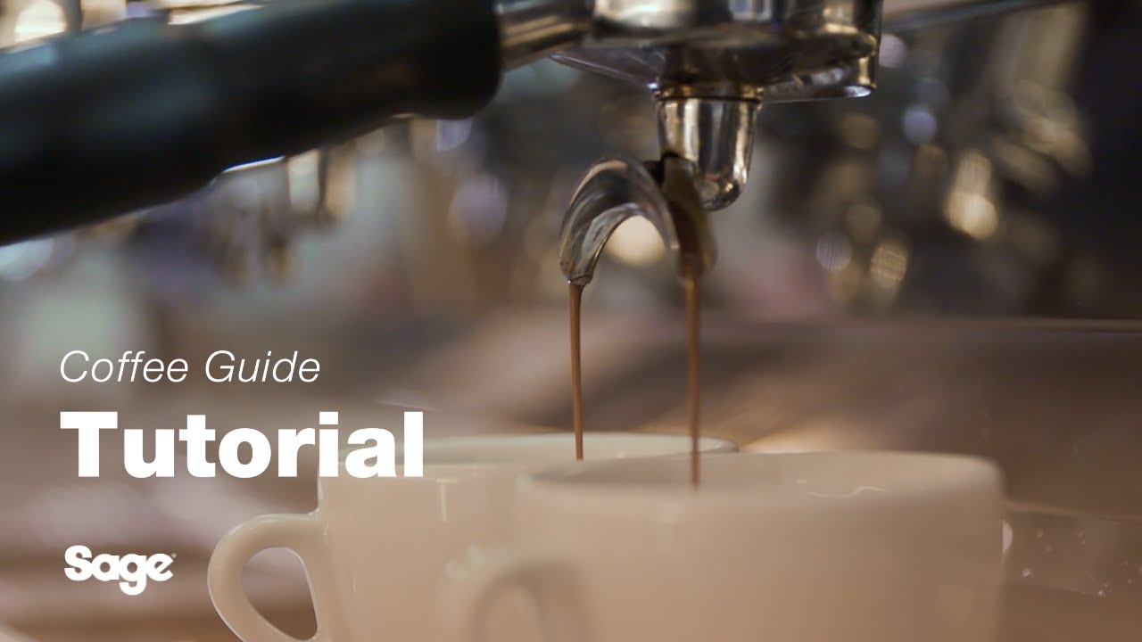 Breville coffee guide tutorial - Getting your first extraction right