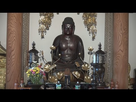 仏像シリーズ22　慈眼寺・木造阿弥陀如来坐像