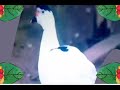 Babytv Go Eco Tuatara