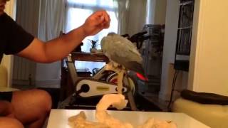 Laila in training video