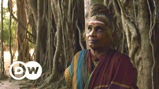Gods and cows, holy and Holi (India shorts competition 3/3)