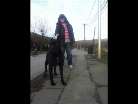 Bussulla - Ajo Ma Han Mu