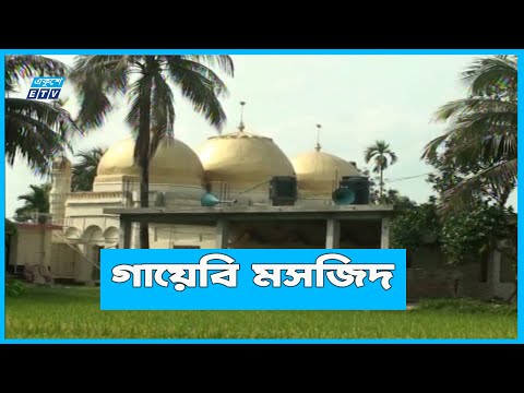 নাটোরের চাপিলা শাহী মসজিদ