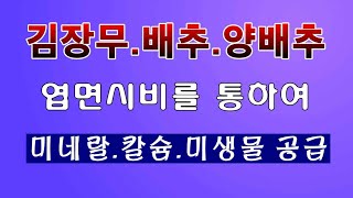 [텃밭농부. 1,259]  가을작물에 엽면시비로 웃거름 주는 방법 #엽면시비 #배추재배 #무우재배 #양배추재…