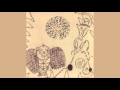 Devendra Banhart - This Is the Way