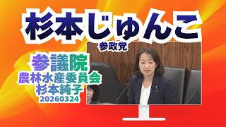参政党【杉本じゅんこ】【杉本純子】🍊参議院農林水産委員会20260324  #杉本じゅんこ #参政党