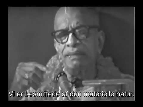Prabhupada 0992 Der er ingen Krishnabevidsthed for opportunister