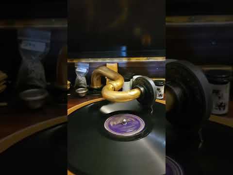 Chasing Shadows - Chick Bullock & his Levee Loungers Perfect Records #16130 1935