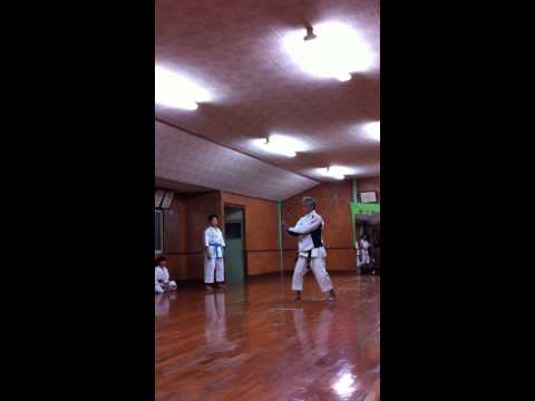 Explanation of Seiunchin Kata - Soke Inoue