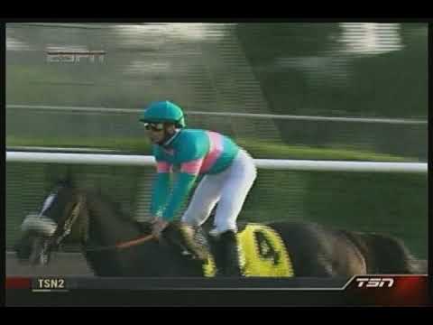 Zenyatta Breeders Cup Classic + Extended Post-Race Coverage (Stereo)