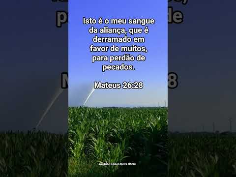 Jair e Hosana! Madeiro Lavrado! Jair Pires e Hosana..