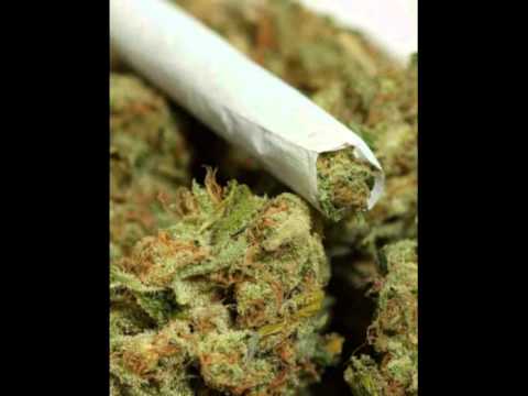 Ganja Friends 5.0 : Ganja Man