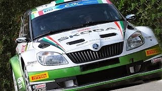 preview picture of video '5° Rally Ronde Città di Negrar 2014 Pure Sound Show (HD)'