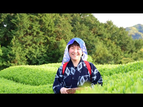 6 Destinations for Green Tea Lovers