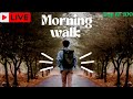 Morning Walk Live Village Roads Forest Nature Vibes Shortslive Live Shorts