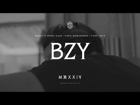 Krzysztof Zalewski - Bzy  (MIUOSH x ZESPÓŁ ŚLĄSK - Pieśni Współczesne. Tom II)