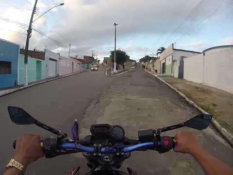 Limoeiro de anadia 