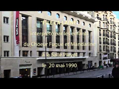 File la laine Pleyel 1990