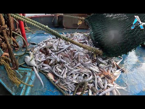 Amazing Giant Bluefin Tuna and Swordfish Fishing skill - Most Satisfying Sea Fishing Videos @FISH_TV