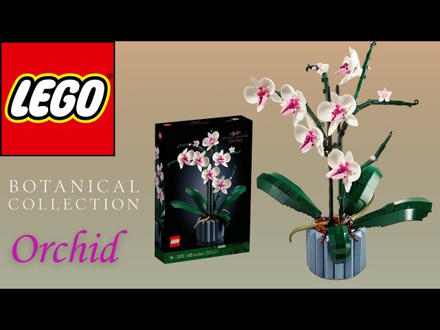Vídeo relacionado con LEGO Botanicals Orchid - Artificial Plant Set for Adults Incl. Faux Flowers and a Buildable Vase - Home Office Decor - Gift Idea for Women and Men - 10311