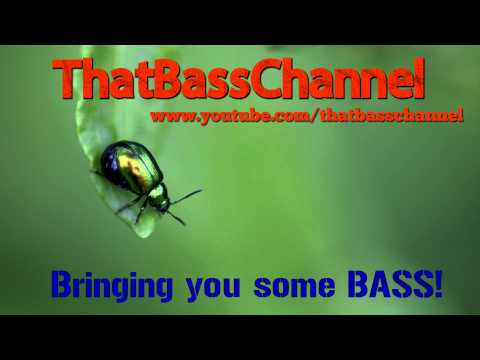 Remy Banks Feat. Juice & A$AP Ant - 3FLIPS6 BASS BOOSTED!