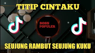 Download lagu DJ TITIP CINTAKU II SEUJUNG RAMBUT SEUJUNG KUKU VIRAL FYP TIKTOK 2022 FULL BASS. mp3