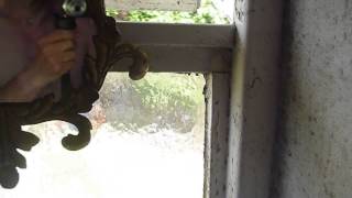 Wet Shave to Tarus Riley&#39;s Microchip