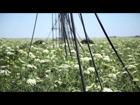 Biomes that produce our food, industrial materials and fibre