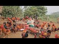 Chicken breeding.  Catch chickens to sell to traders.  (Episode 147).