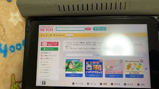 任天堂スイッチのNETCHを2万円分したら何個取れる？