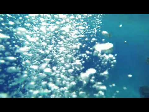 Turtle get away from the Mosasaurus - Dino tracker