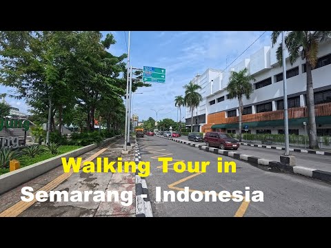 Walking Tour Semarang | From Alon Alon Grand Mosque to the Ornamental Fish Market via Jl. Agus Salim