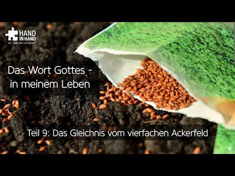 Videovorschau