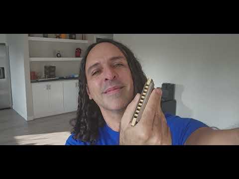 COMO APRENDER A TOCAR GAITA FÁCIL E RÁPIDO DE ONDE VOCÊ ESTIVER.