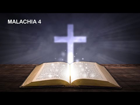 🇮🇹MALACHIA 4 ‐ Il sole della giustizia e il suo precursore.