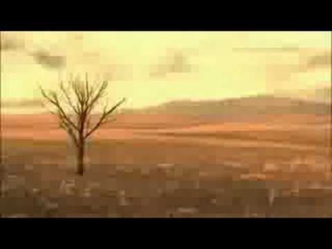 Every action has it's consequence