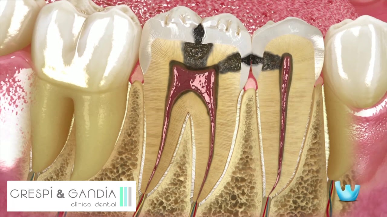 Vicente Gandía Aguiló-32