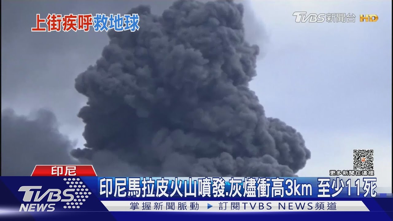 「我們沒有星球B!」 比利時上千人冒雪反氣候變遷