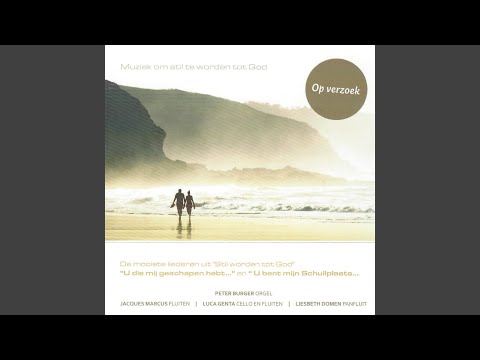 Heer Uw bloed dat reinigt mij (Instrumental)