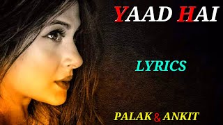 YAAD HAI SONG (LYRICS) | PALAK MUNCHAL, ANKIT TIWARI | MANOJ MUNTASHIR | AIYAARY