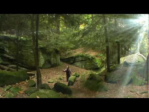 Joe Vitale Jr. "Never Look Back" OFFICIAL VIDEO