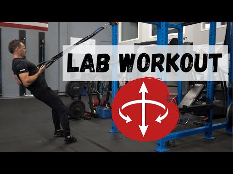 The Lab Workouts: Foundation Series - Upper Body / Pulling