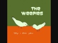 The Weepies - Slow Pony Home 