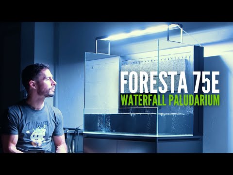 Film UNS Foresta 75E