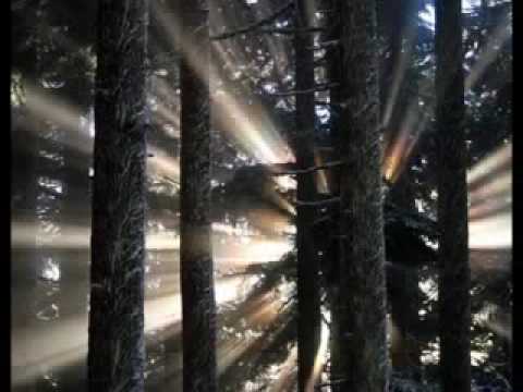 Macaco & La Mari de Chambao - Somos luz