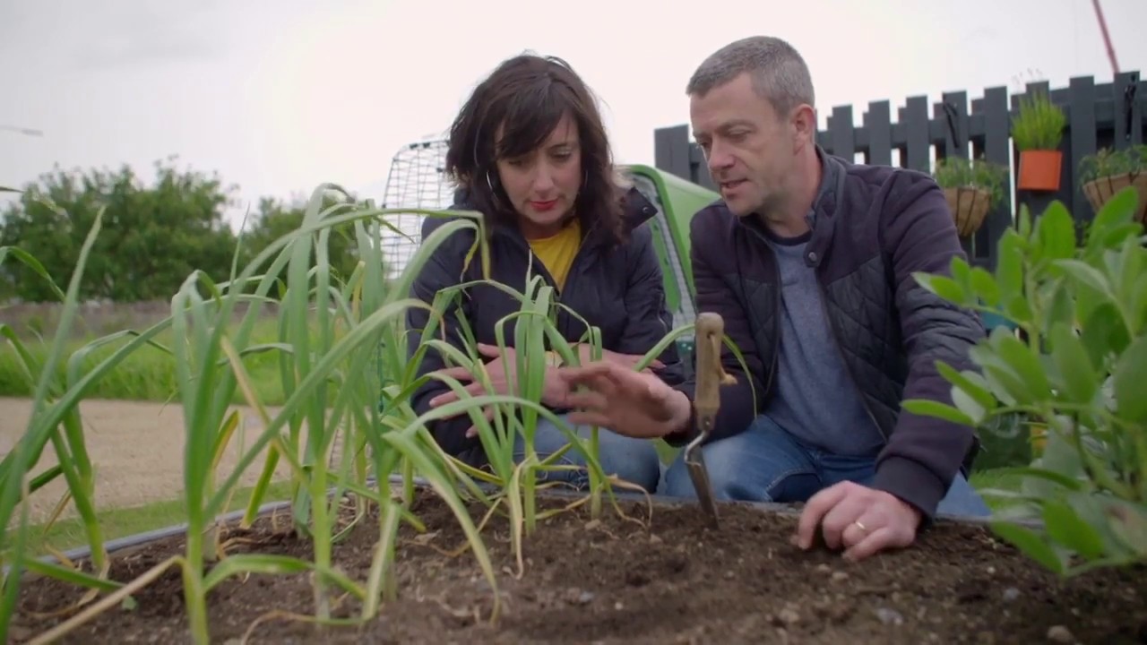 Garlic GIY Ireland Ltd