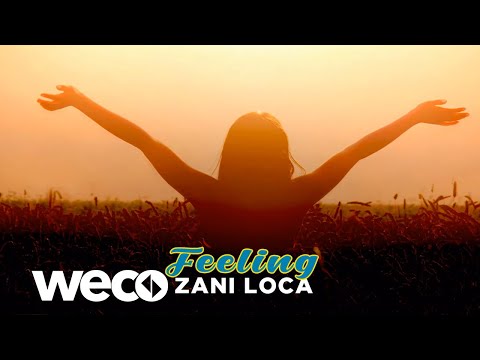 Zani Loca - Feeling (Official Audio)